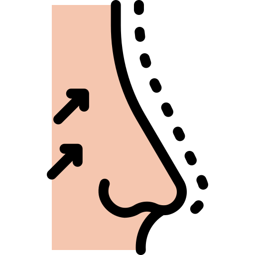 鼻整形 Detailed Rounded Lineal color icon