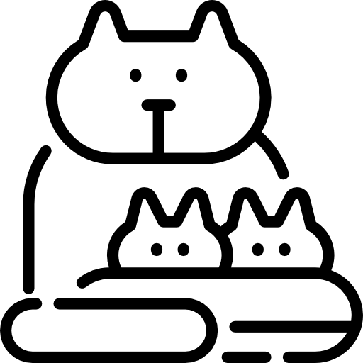 katze Special Lineal icon