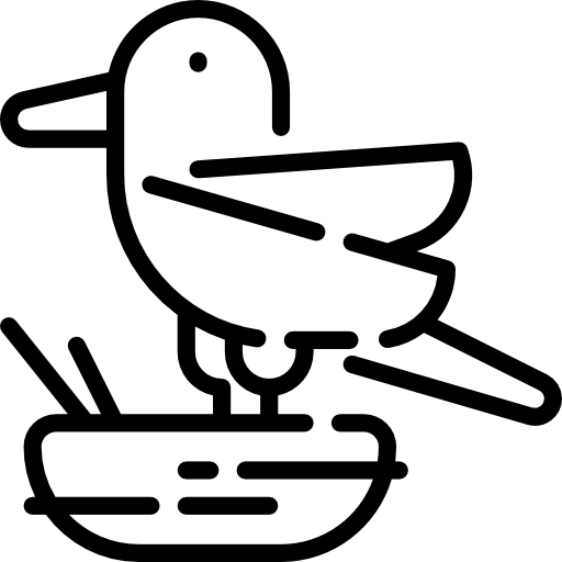 pájaro Special Lineal icono