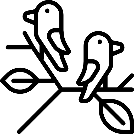 pájaro Special Lineal icono