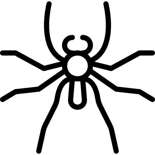 pająk Basic Miscellany Lineal ikona