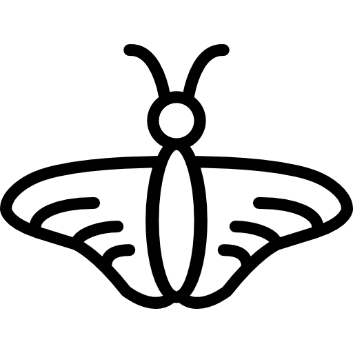 motyl Basic Miscellany Lineal ikona