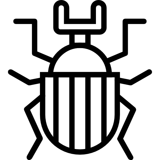 scarabée Basic Miscellany Lineal Icône