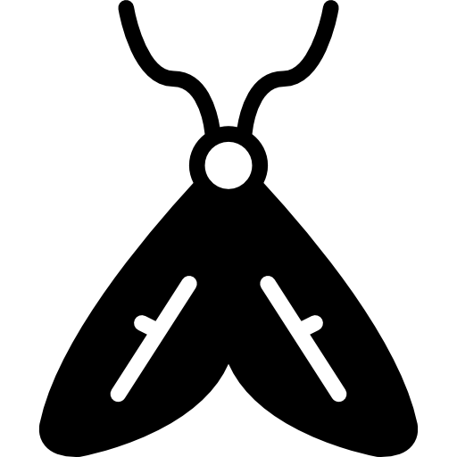 Moth Basic Miscellany Fill icon