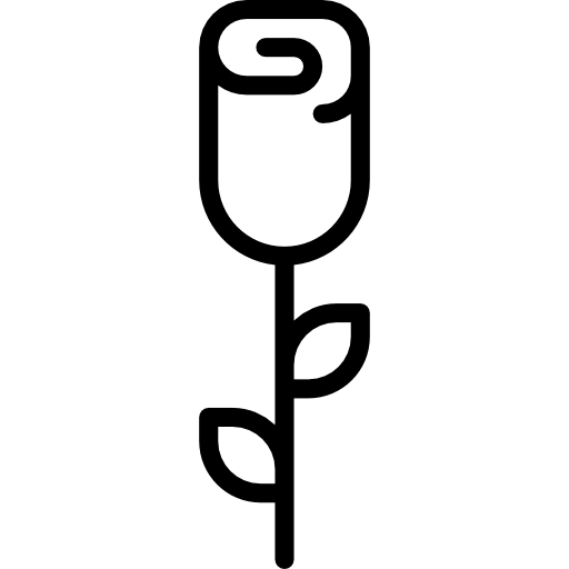 장미 Basic Miscellany Lineal icon