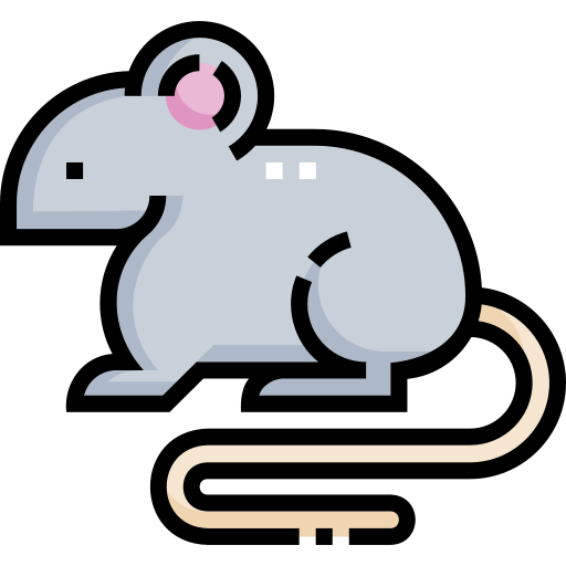 쥐 Detailed Straight Lineal color icon