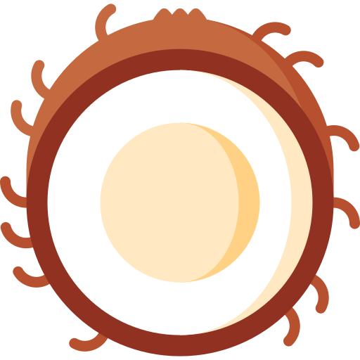 coco Special Flat icono