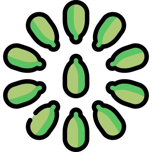 Cardamom Special Lineal color icon