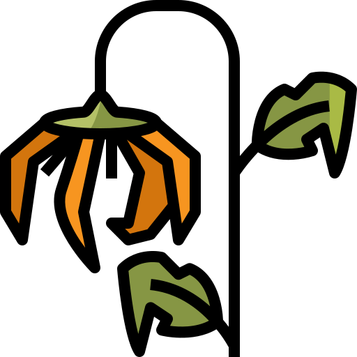Sunflower Mangsaabguru Lineal Color icon