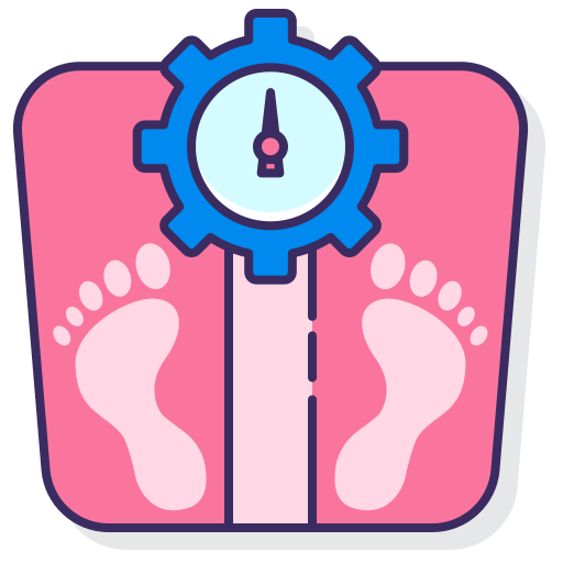 Weight management Flaticons Lineal Color icon