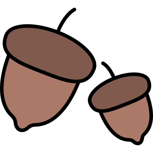 Acorn Generic Outline Color icon