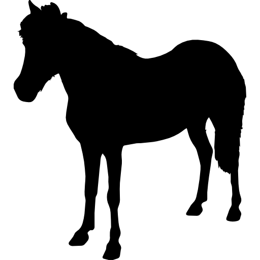 Лошадь стоя животное черная форма лицом влево  иконка