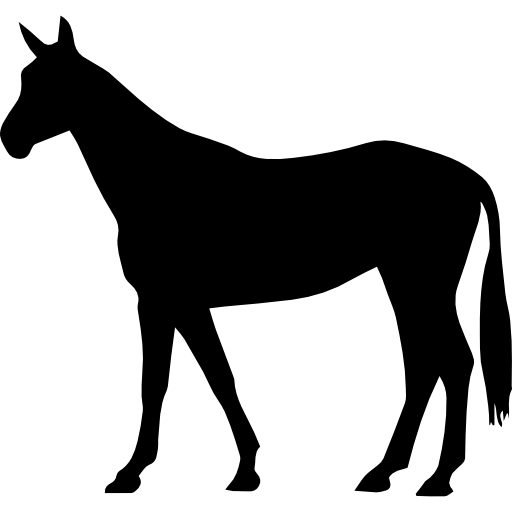 Horse thin black standing shape of long tail facing left  icon