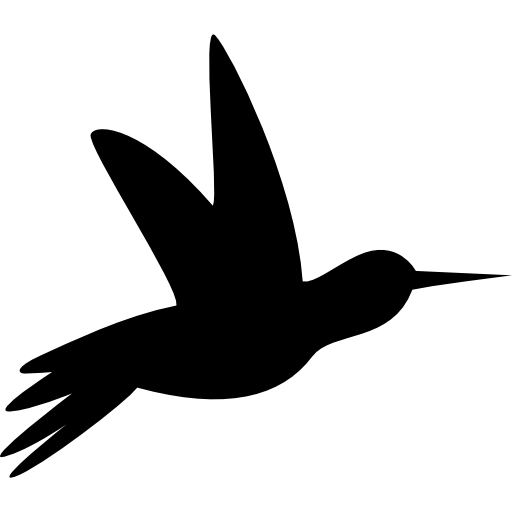 Колибри черная сторона силуэт  иконка