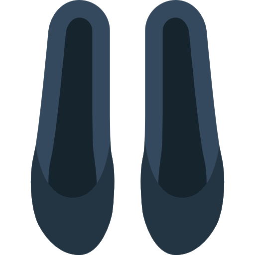 schuh Basic Miscellany Flat icon