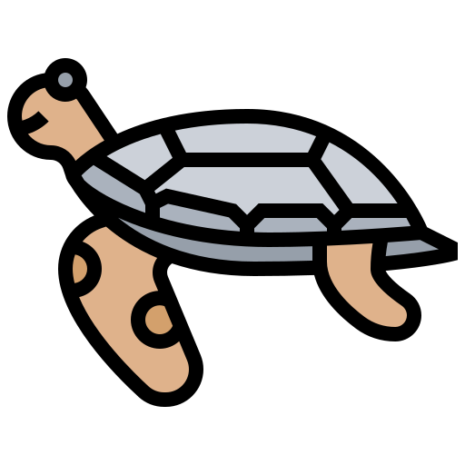 tartaruga Meticulous Lineal Color icona