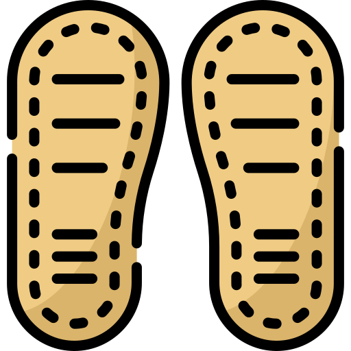 靴底 Special Lineal color icon