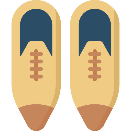 обувь Special Flat иконка