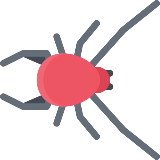 クモ Coloring Flat icon