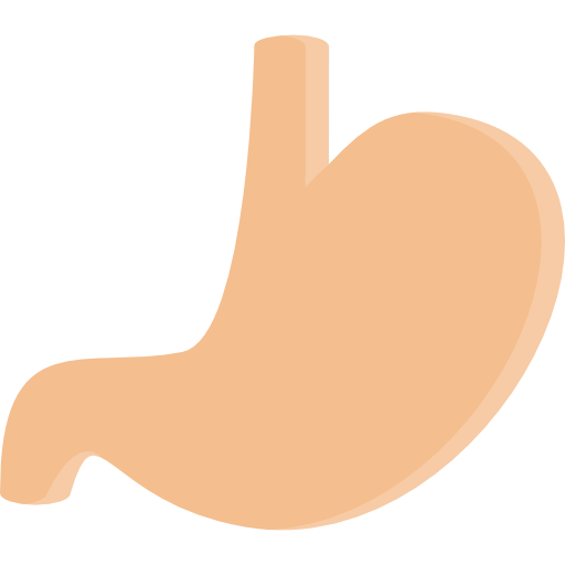 Stomach Coloring Flat icon