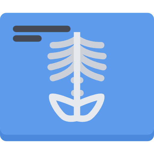 X ray Coloring Flat icon