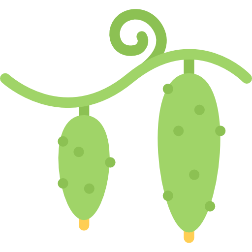 pepinos Coloring Flat icono