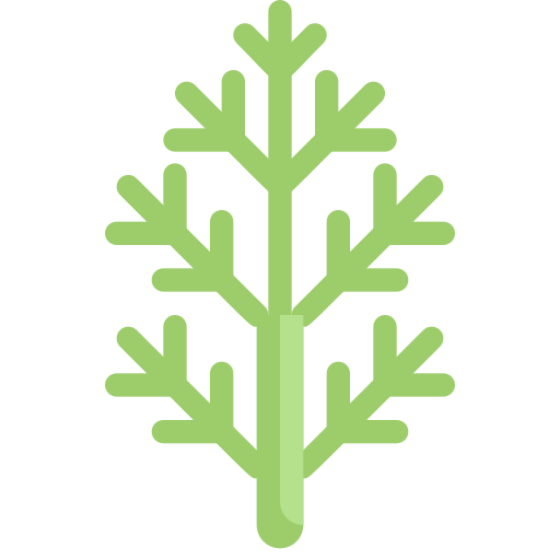 dill Generic Flat icon