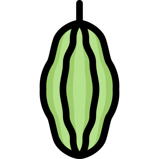 momordica charantia Generic Outline Color icon