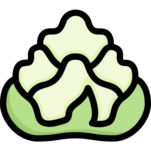broccolo romanesco Generic Outline Color icona