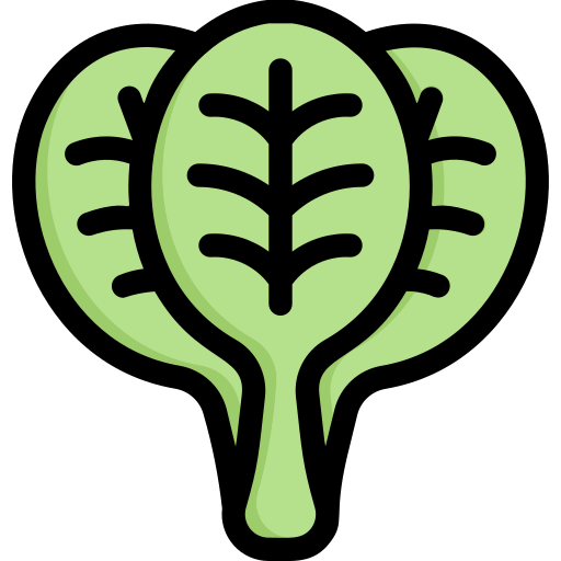 Spinach Generic Outline Color icon