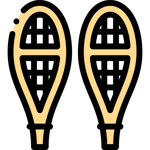 raquetas de nieve Detailed Rounded Lineal color icono