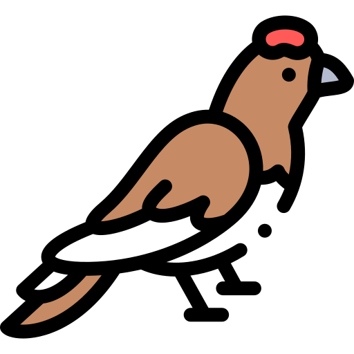 weidenschneehuhn Detailed Rounded Lineal color icon