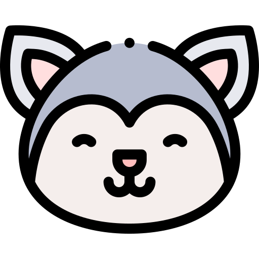 Raccoon Detailed Rounded Lineal color icon