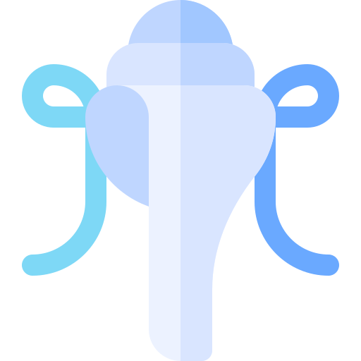 Conch shell Basic Rounded Flat icon