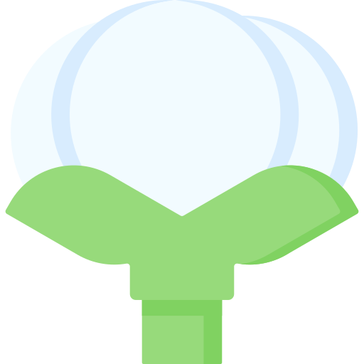 Cotton Special Flat icon