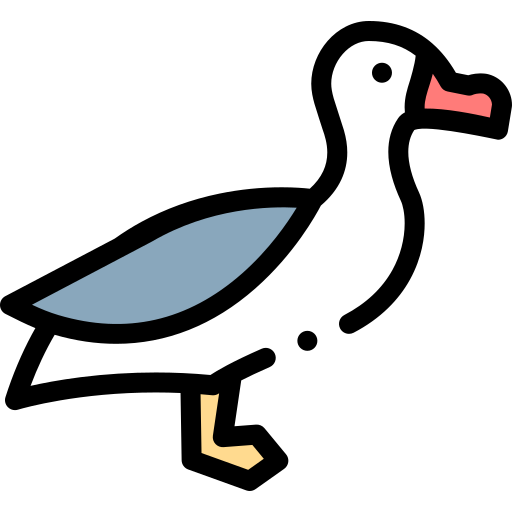 Albatross Detailed Rounded Lineal color icon