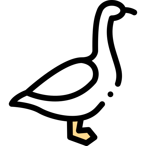 Goose Detailed Rounded Lineal color icon