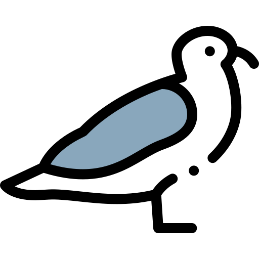 Gull Detailed Rounded Lineal color icon