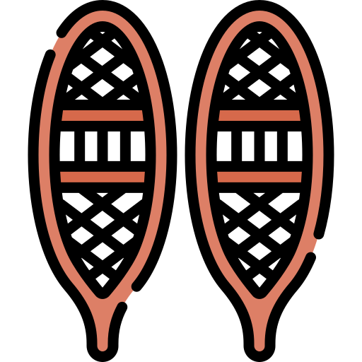Snowshoes Special Lineal color icon
