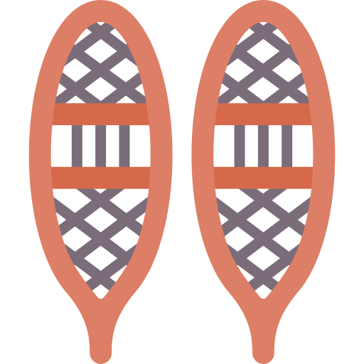 raquetas de nieve Special Flat icono