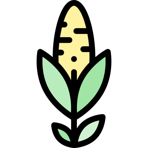 Кукуруза Detailed Rounded Lineal color иконка