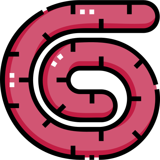 boerewors Detailed Straight Lineal color icon