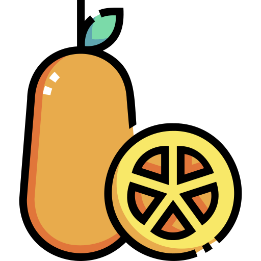 Kumquat Detailed Straight Lineal color icon