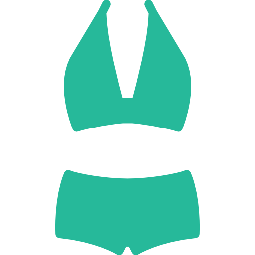 bikini Basic Miscellany Flat Icône
