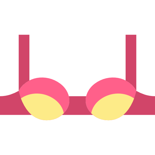 Brassiere Basic Miscellany Flat icon