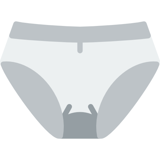 Panties Basic Miscellany Flat icon