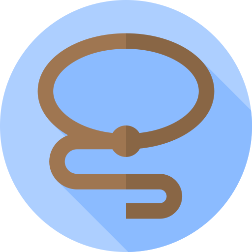 Lasso Flat Circular Flat icon