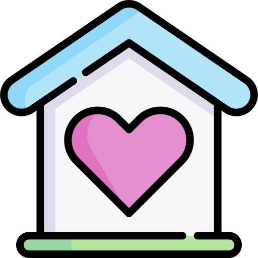 Home Special Lineal color icon