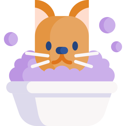 bain de chat Special Flat Icône