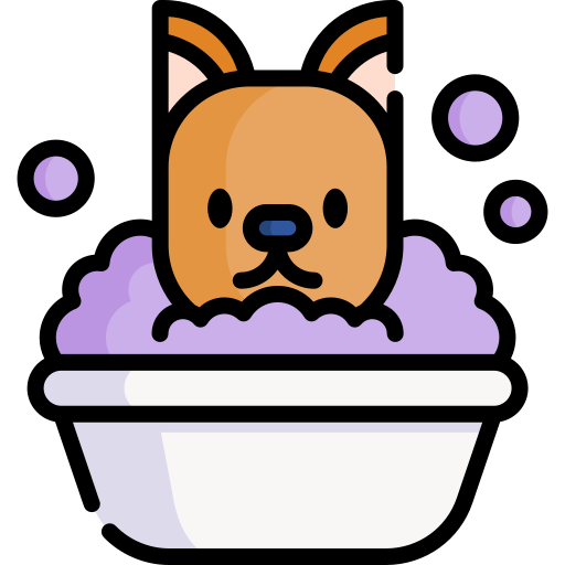 Cat bath Special Lineal color icon